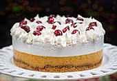 Christmas pumpkin and cranberry mousse cake