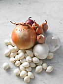 Various types of onions