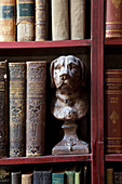Bücherregal mit antiquarischen Büchern und Hunde-Büste