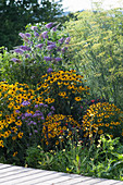 Gelb-violettes Beet mit Sonnenhut 'Goldsturm', Sommerflieder Buzz 'Violet', Eisenkraut und Fenchel