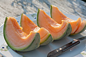 Teller mit aufgeschnittener Melone