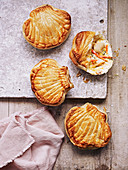Scallop shell pies