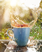 Tea splash