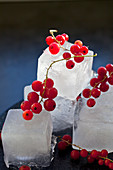 A stack of ice cubes with bunches of frozen red currants on top