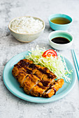 Tonka katsu with salad and rice (Japan)