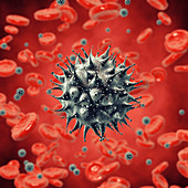 Viral infection, illustration