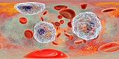 Blood smear with numerous eosinophils, illustration