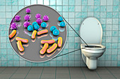 Toilet microbes, conceptual illustration