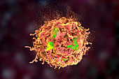 Destruction of a cancer cell, illustration