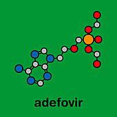 Adefovir dipivoxil hepatitis B and HSV drug, molecular model