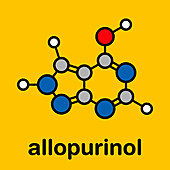 Allopurinol gout drug, molecular model