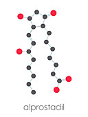 Alprostadil erectile dysfunction drug, molecular model