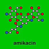 Amikacin aminoglycoside antibiotic, molecular model