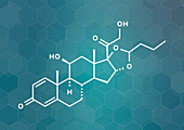 Budesonide corticosteroid drug, molecular model