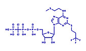 Cangrelor antiplatelet drug, molecular model
