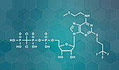 Cangrelor antiplatelet drug, molecular model