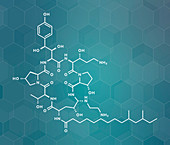 Caspofungin antifungal drug, molecular model