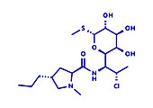 Clindamycin antibiotic drug, molecular model