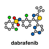 Dabrafenib melanoma cancer drug, molecular model