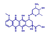Doxorubicin chemotherapy drug, molecular model