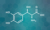 Droxidopa hypotension drug, molecular model
