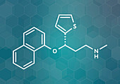 Duloxetine antidepressant drug, molecular model