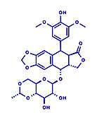 Etoposide chemotherapy drug, molecular model