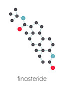 Finasteride male pattern baldness drug, molecular model