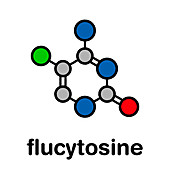 Flucytosine antimycotic drug, molecular model