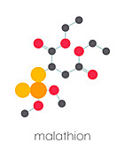Malathion insecticide, molecular model