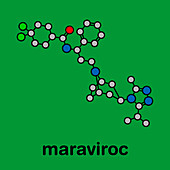 Maraviroc HIV drug, molecular model