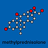 Methylprednisolone corticosteroid drug, molecular model