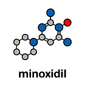 Minoxidil male pattern baldness drug, molecular model