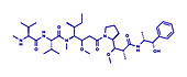 Monomethyl auristatin E, molecular model