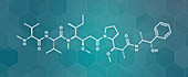 Monomethyl auristatin E, molecular model