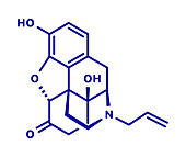 Naloxone opioid receptor antagonist, molecular model