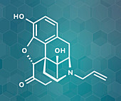 Naloxone opioid receptor antagonist, molecular model