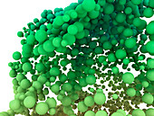 Abstract green spheres, illustration