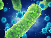 Viral and bacterial infection, illustration