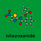 Nitazoxanide antiprotozoal drug, molecular model