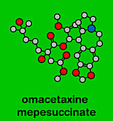 Omacetaxine mepesuccinate cancer drug, molecular model