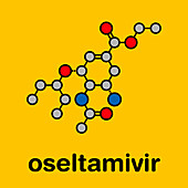 Oseltamivir influenza virus drug, molecular model
