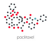 Paclitaxel chemotherapy drug, molecular model