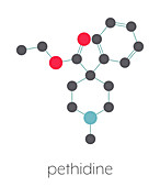 Pethidine opioid analgesic drug, molecular model