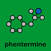 Phentermine appetite suppressant drug, molecular model