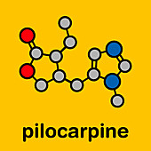 Pilocarpine alkaloid drug, molecular model
