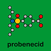 Probenecid gout drug, molecular model