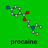 Procaine topical anesthetic drug, molecular model