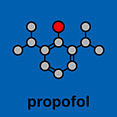 Propofol anesthetic drug, molecular model