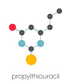 Propylthiouracil hyperthyroidism drug, molecular model